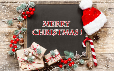 Ho, Ho, Ho! Merry Christmas from Taylor and Megan